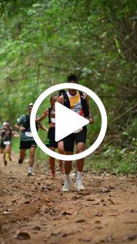 BIB:  <button type="button" onclick="openModal(26805285)" class="btn btn-primary btn-sm float-right" data-toggle="modal" data-target=".modal-high-quality">
                <i class="fa fa-download"></i> Download
                </button>